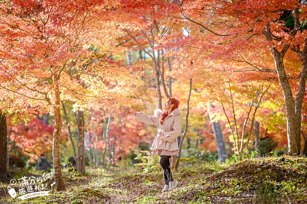 福島景點懶人包【TOP10會津若松景點推薦】只見線第一鐵橋.大內宿.大川莊.鶴城~每個景點都讓人心動!