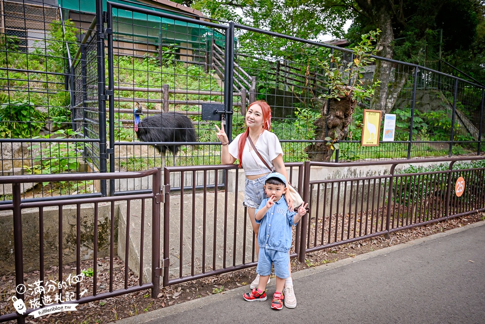 【2026福岡景點懶人包】TOP10福岡親子景點推薦.必玩福岡塔.太宰府.麵包超人博物館&海之中道海洋世界.一個比一個精彩!