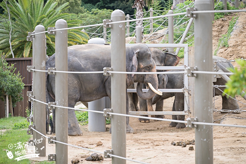【2026福岡景點懶人包】TOP10福岡親子景點推薦.必玩福岡塔.太宰府.麵包超人博物館&海之中道海洋世界.一個比一個精彩!