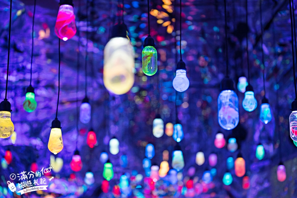 台南【萬霧小籠湯包專賣店】霧裡吃小籠包超浮誇,沉浸式藝術攝影棚就像在拍MV!