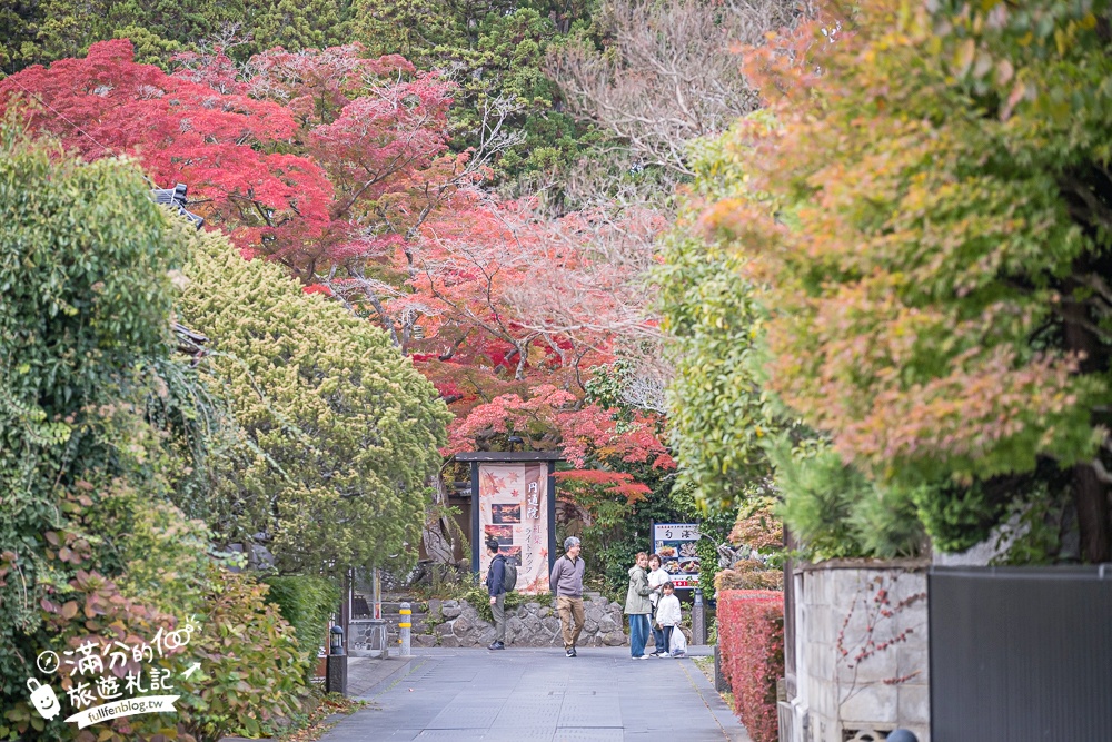 【円通院】松島最夢幻的賞楓景點!円通院紅葉美到不像現實.無限沉醉秋之日式庭院! 【円通院】松島最夢幻的賞楓景點!円通院紅葉美到不像現實.無限沉醉秋之日式庭院!