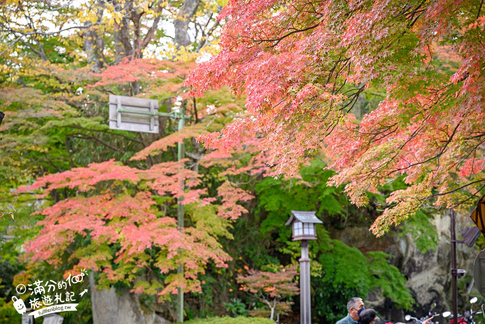 【円通院】松島最夢幻的賞楓景點!円通院紅葉美到不像現實.無限沉醉秋之日式庭院! 【円通院】松島最夢幻的賞楓景點!円通院紅葉美到不像現實.無限沉醉秋之日式庭院!