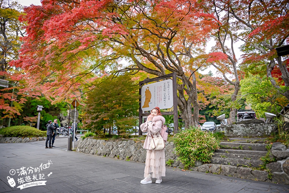 【円通院】松島最夢幻的賞楓景點!円通院紅葉美到不像現實.無限沉醉秋之日式庭院! 【円通院】松島最夢幻的賞楓景點!円通院紅葉美到不像現實.無限沉醉秋之日式庭院!