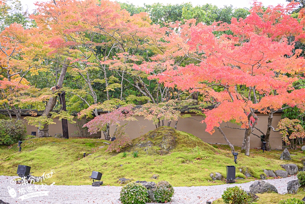 【円通院】松島最夢幻的賞楓景點!円通院紅葉美到不像現實.無限沉醉秋之日式庭院! 【円通院】松島最夢幻的賞楓景點!円通院紅葉美到不像現實.無限沉醉秋之日式庭院!