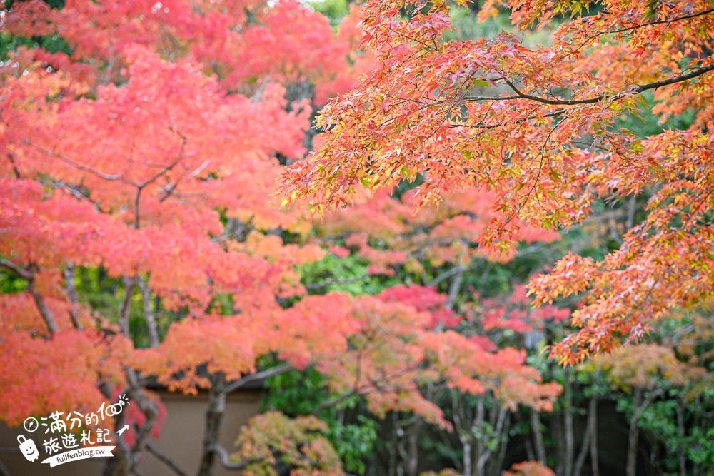 【円通院】松島最夢幻的賞楓景點!円通院紅葉美到不像現實.無限沉醉秋之日式庭院! 【円通院】松島最夢幻的賞楓景點!円通院紅葉美到不像現實.無限沉醉秋之日式庭院!