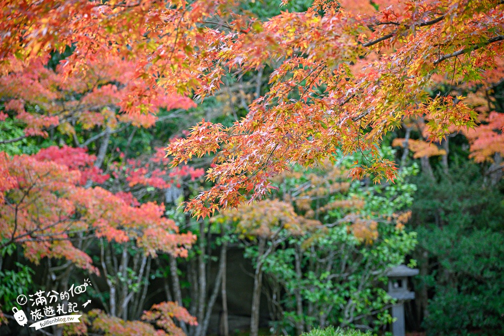 【円通院】松島最夢幻的賞楓景點!円通院紅葉美到不像現實.無限沉醉秋之日式庭院! 【円通院】松島最夢幻的賞楓景點!円通院紅葉美到不像現實.無限沉醉秋之日式庭院!