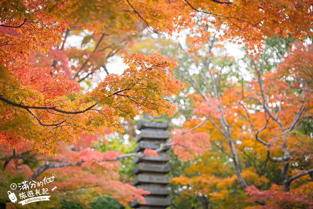 【円通院】松島最夢幻的賞楓景點!円通院紅葉美到不像現實.無限沉醉秋之日式庭院! 【円通院】松島最夢幻的賞楓景點!円通院紅葉美到不像現實.無限沉醉秋之日式庭院!