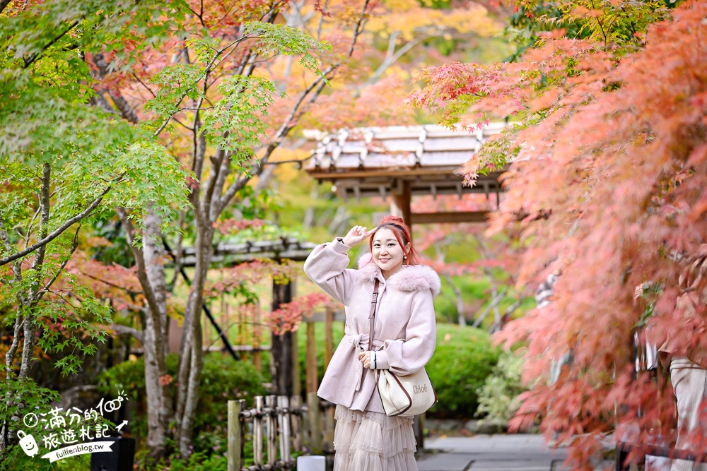 【円通院】松島最夢幻的賞楓景點!円通院紅葉美到不像現實.無限沉醉秋之日式庭院! 【円通院】松島最夢幻的賞楓景點!円通院紅葉美到不像現實.無限沉醉秋之日式庭院!