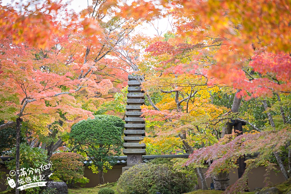 【円通院】松島最夢幻的賞楓景點!円通院紅葉美到不像現實.無限沉醉秋之日式庭院! 【円通院】松島最夢幻的賞楓景點!円通院紅葉美到不像現實.無限沉醉秋之日式庭院!