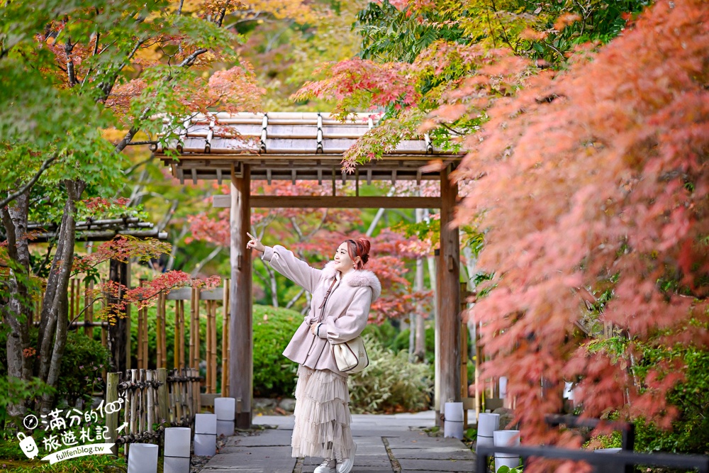 【円通院】松島最夢幻的賞楓景點!円通院紅葉美到不像現實.無限沉醉秋之日式庭院! 【円通院】松島最夢幻的賞楓景點!円通院紅葉美到不像現實.無限沉醉秋之日式庭院!