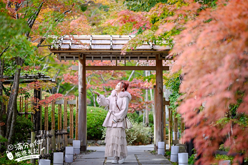 【円通院】松島最夢幻的賞楓景點!円通院紅葉美到不像現實.無限沉醉秋之日式庭院! 【円通院】松島最夢幻的賞楓景點!円通院紅葉美到不像現實.無限沉醉秋之日式庭院!