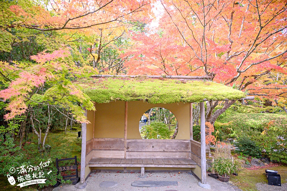 【円通院】松島最夢幻的賞楓景點!円通院紅葉美到不像現實.無限沉醉秋之日式庭院! 【円通院】松島最夢幻的賞楓景點!円通院紅葉美到不像現實.無限沉醉秋之日式庭院!
