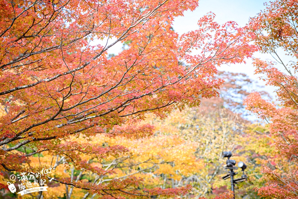 【円通院】松島最夢幻的賞楓景點!円通院紅葉美到不像現實.無限沉醉秋之日式庭院! 【円通院】松島最夢幻的賞楓景點!円通院紅葉美到不像現實.無限沉醉秋之日式庭院!