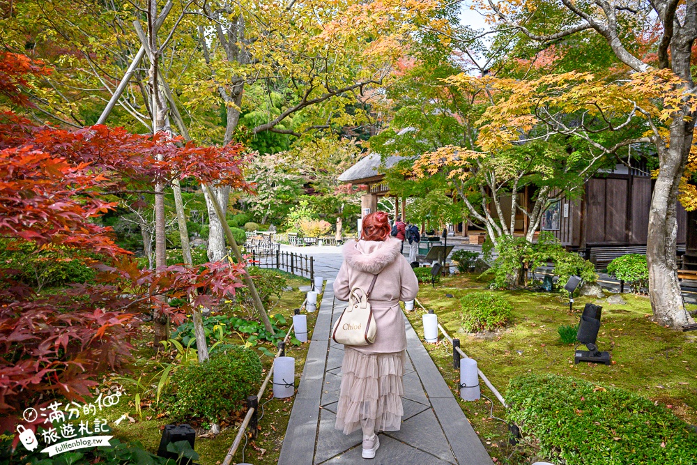 【円通院】松島最夢幻的賞楓景點!円通院紅葉美到不像現實.無限沉醉秋之日式庭院! 【円通院】松島最夢幻的賞楓景點!円通院紅葉美到不像現實.無限沉醉秋之日式庭院!