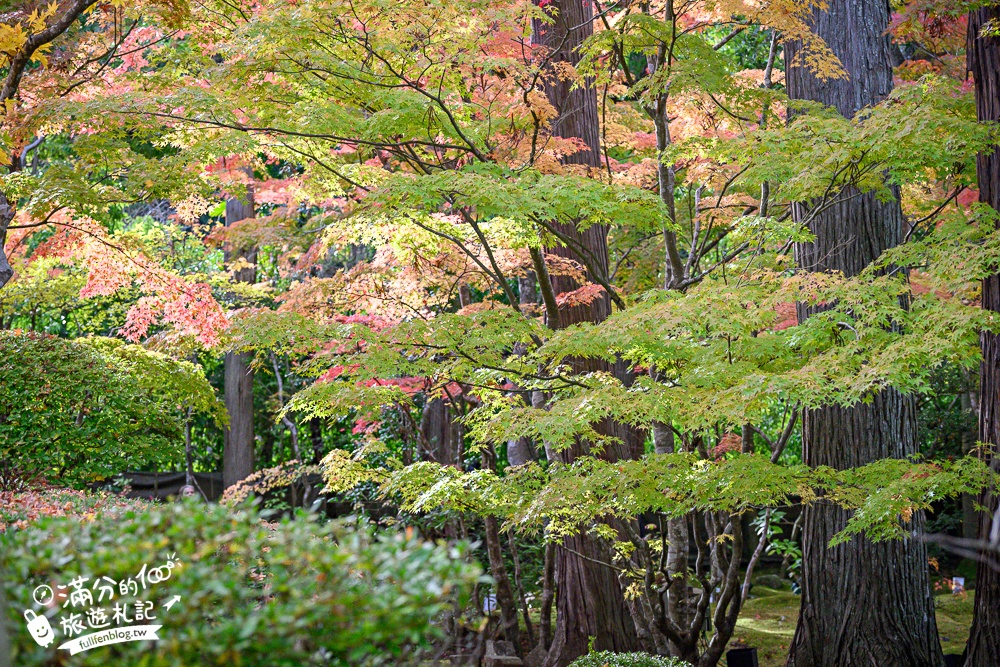 【円通院】松島最夢幻的賞楓景點!円通院紅葉美到不像現實.無限沉醉秋之日式庭院! 【円通院】松島最夢幻的賞楓景點!円通院紅葉美到不像現實.無限沉醉秋之日式庭院!