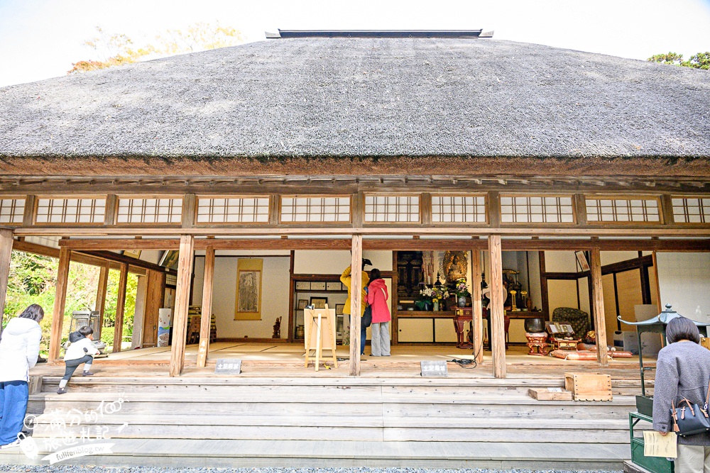 【円通院】松島最夢幻的賞楓景點!円通院紅葉美到不像現實.無限沉醉秋之日式庭院! 【円通院】松島最夢幻的賞楓景點!円通院紅葉美到不像現實.無限沉醉秋之日式庭院!