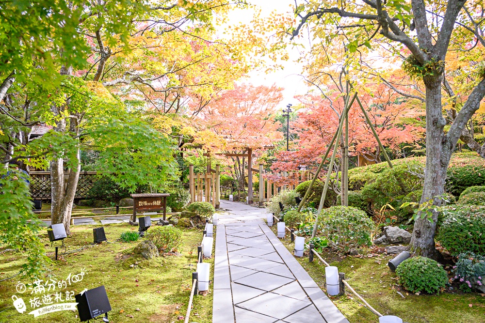 【円通院】松島最夢幻的賞楓景點!円通院紅葉美到不像現實.無限沉醉秋之日式庭院! 【円通院】松島最夢幻的賞楓景點!円通院紅葉美到不像現實.無限沉醉秋之日式庭院!