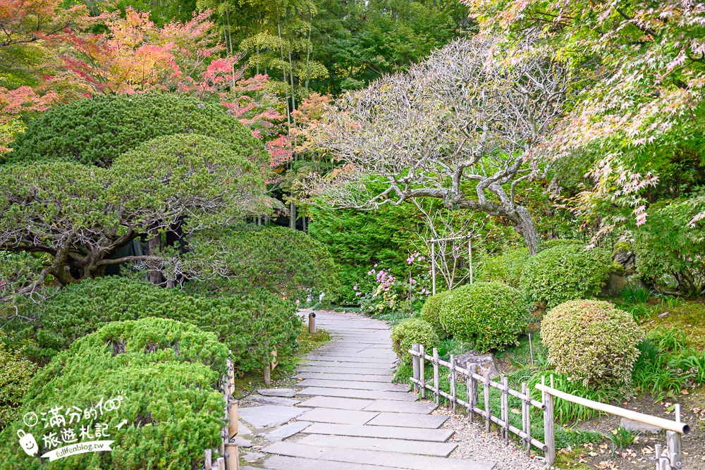 【円通院】松島最夢幻的賞楓景點!円通院紅葉美到不像現實.無限沉醉秋之日式庭院! 【円通院】松島最夢幻的賞楓景點!円通院紅葉美到不像現實.無限沉醉秋之日式庭院!