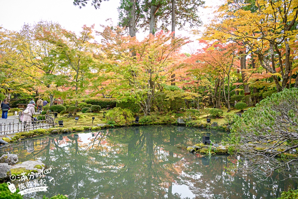 【円通院】松島最夢幻的賞楓景點!円通院紅葉美到不像現實.無限沉醉秋之日式庭院! 【円通院】松島最夢幻的賞楓景點!円通院紅葉美到不像現實.無限沉醉秋之日式庭院!