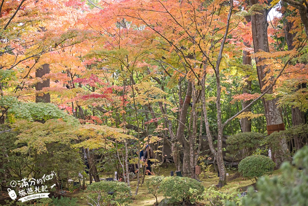 【円通院】松島最夢幻的賞楓景點!円通院紅葉美到不像現實.無限沉醉秋之日式庭院! 【円通院】松島最夢幻的賞楓景點!円通院紅葉美到不像現實.無限沉醉秋之日式庭院!