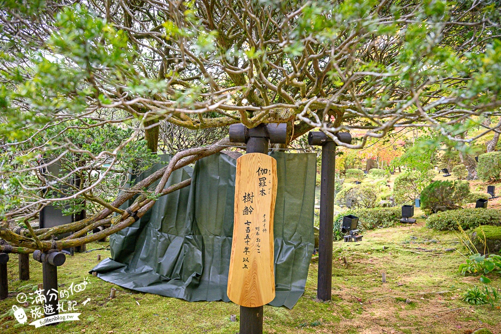 【円通院】松島最夢幻的賞楓景點!円通院紅葉美到不像現實.無限沉醉秋之日式庭院! 【円通院】松島最夢幻的賞楓景點!円通院紅葉美到不像現實.無限沉醉秋之日式庭院!