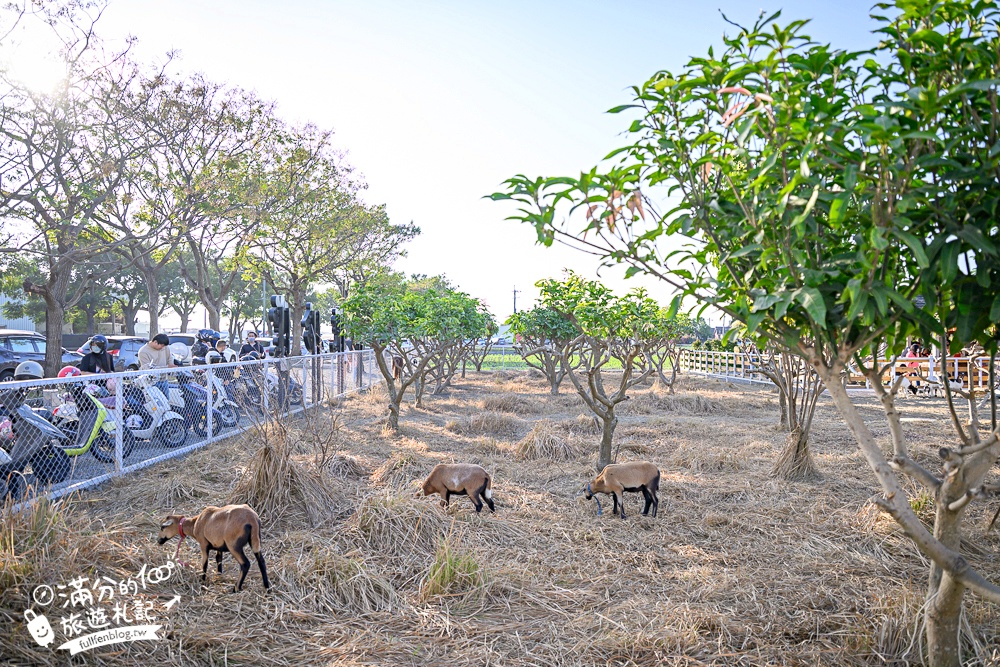 雲林【虎珍堂森之院】免門票禪風日式庭院.必吃薯燒包&地瓜豆腐冰,還能近距離餵小羊唷