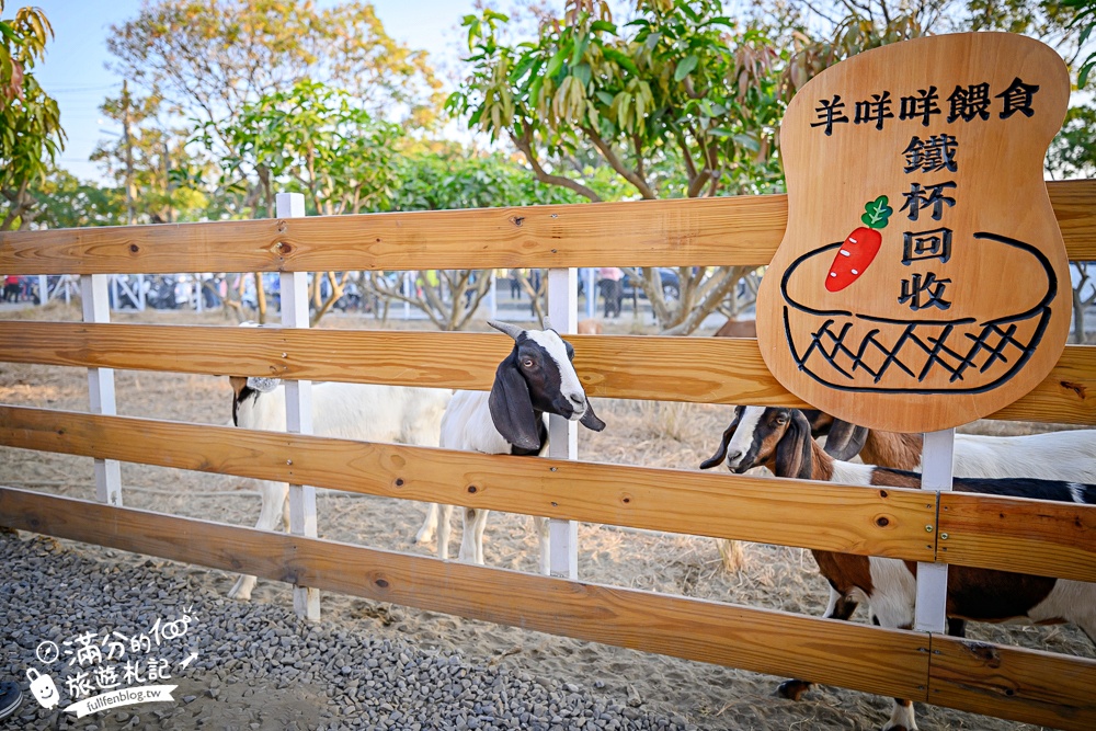 雲林【虎珍堂森之院】免門票禪風日式庭院.必吃薯燒包&地瓜豆腐冰,還能近距離餵小羊唷