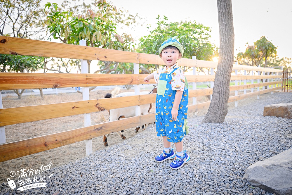 雲林【虎珍堂森之院】免門票禪風日式庭院.必吃薯燒包&地瓜豆腐冰,還能近距離餵小羊唷