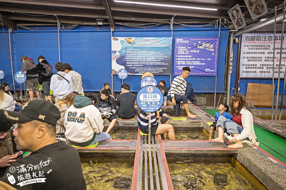 宜蘭【礁溪湯圍溝重口味溫泉魚】膽小勿入池！巨無霸溫泉魚挑戰營,銅板價門票,當日不限時進出玩樂