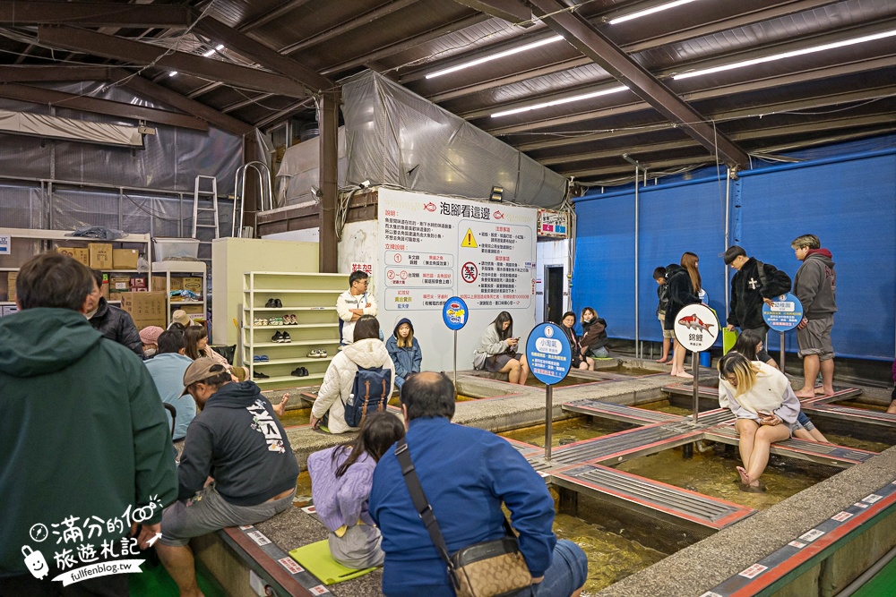 宜蘭【礁溪湯圍溝重口味溫泉魚】膽小勿入池！巨無霸溫泉魚挑戰營,銅板價門票,當日不限時進出玩樂