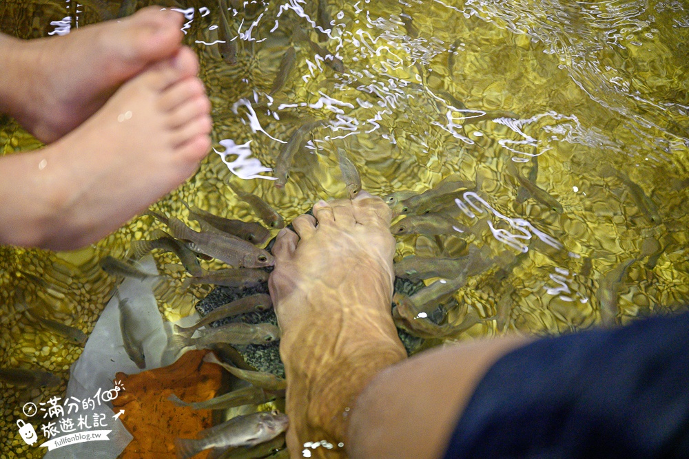 宜蘭【礁溪湯圍溝重口味溫泉魚】膽小勿入池！巨無霸溫泉魚挑戰營,銅板價門票,當日不限時進出玩樂