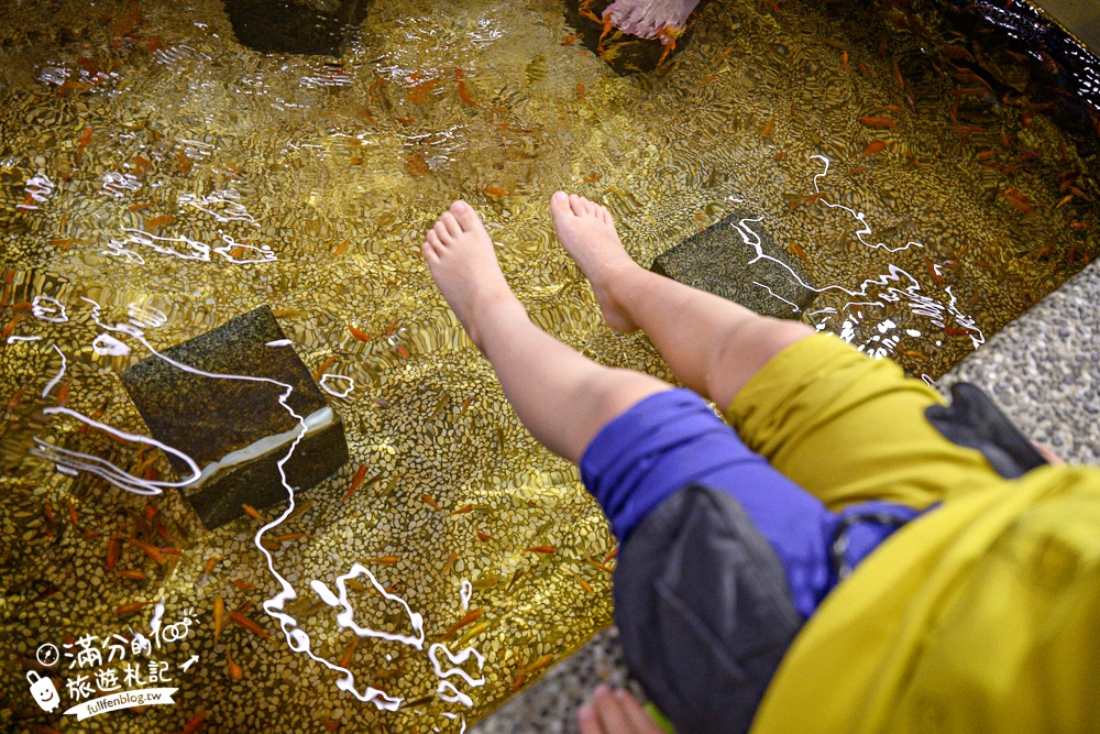 宜蘭【礁溪湯圍溝重口味溫泉魚】膽小勿入池！巨無霸溫泉魚挑戰營,銅板價門票,當日不限時進出玩樂
