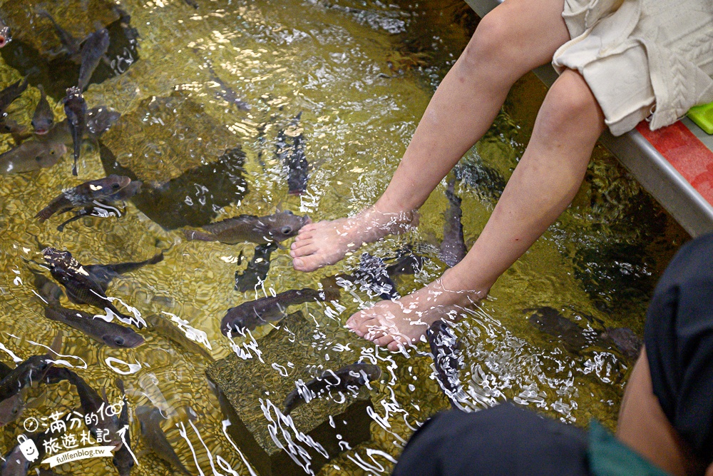 宜蘭【礁溪湯圍溝重口味溫泉魚】膽小勿入池！巨無霸溫泉魚挑戰營,銅板價門票,當日不限時進出玩樂
