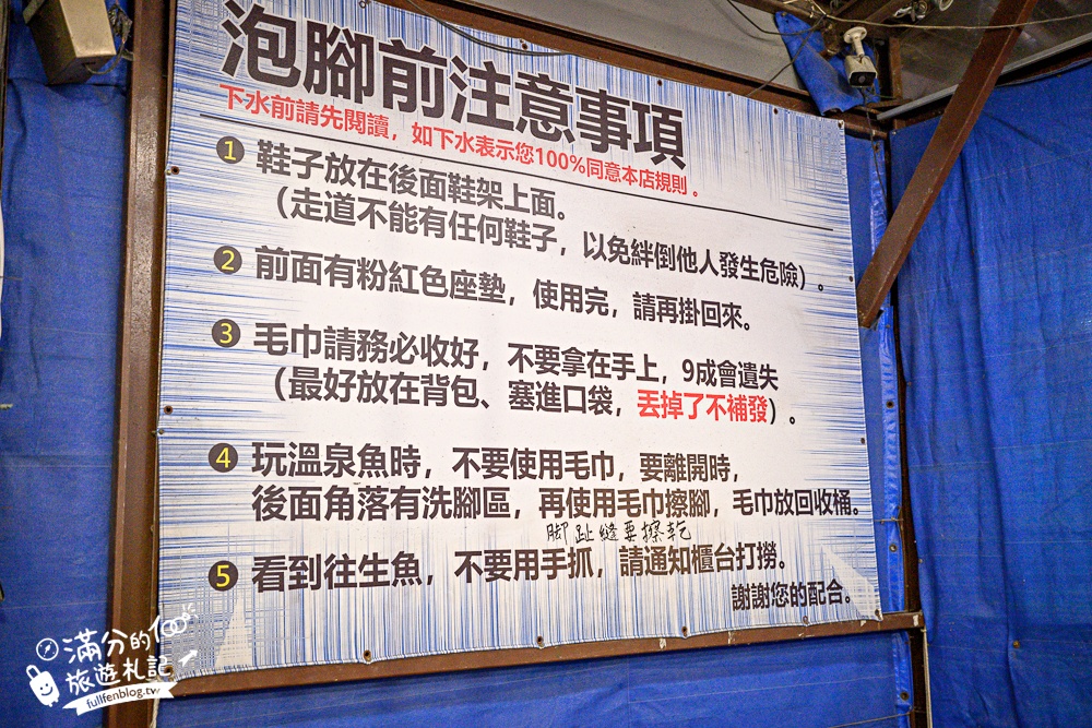 宜蘭【礁溪湯圍溝重口味溫泉魚】膽小勿入池！巨無霸溫泉魚挑戰營,銅板價門票,當日不限時進出玩樂