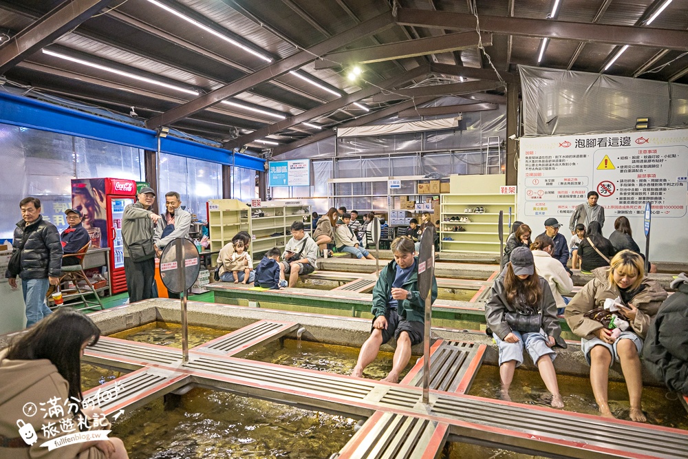 宜蘭【礁溪湯圍溝重口味溫泉魚】膽小勿入池！巨無霸溫泉魚挑戰營,銅板價門票,當日不限時進出玩樂