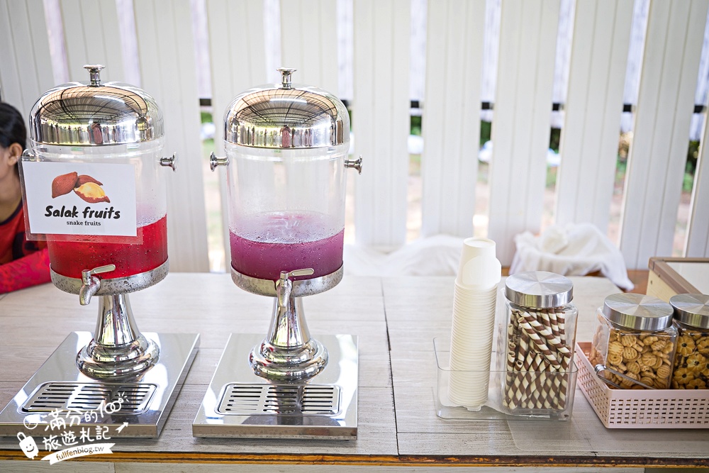 普吉島必玩【普吉島大象叢林保護區】來場與大象的溫柔相遇,幫大象洗澡戲水,餵大象吃香蕉.甘蔗和手作飯糰! 普吉島必玩【普吉島大象叢林保護區】來場與大象的溫柔相遇,幫大象洗澡戲水,餵大象吃香蕉.甘蔗和手作飯糰!