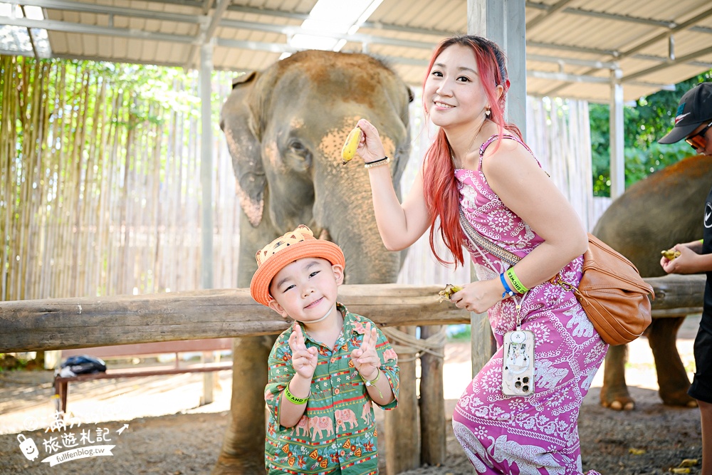 普吉島必玩【普吉島大象叢林保護區】來場與大象的溫柔相遇,幫大象洗澡戲水,餵大象吃香蕉.甘蔗和手作飯糰! 普吉島必玩【普吉島大象叢林保護區】來場與大象的溫柔相遇,幫大象洗澡戲水,餵大象吃香蕉.甘蔗和手作飯糰!