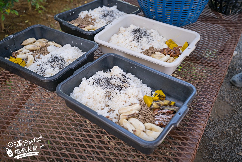 普吉島必玩【普吉島大象叢林保護區】來場與大象的溫柔相遇,幫大象洗澡戲水,餵大象吃香蕉.甘蔗和手作飯糰! 普吉島必玩【普吉島大象叢林保護區】來場與大象的溫柔相遇,幫大象洗澡戲水,餵大象吃香蕉.甘蔗和手作飯糰!