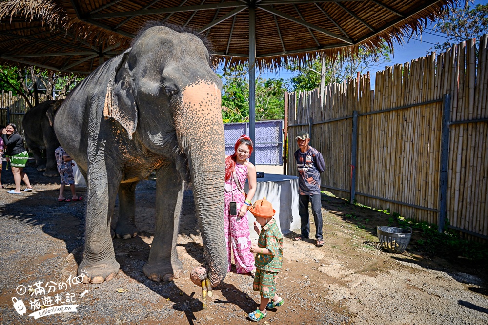 普吉島必玩【普吉島大象叢林保護區】來場與大象的溫柔相遇,幫大象洗澡戲水,餵大象吃香蕉.甘蔗和手作飯糰! 普吉島必玩【普吉島大象叢林保護區】來場與大象的溫柔相遇,幫大象洗澡戲水,餵大象吃香蕉.甘蔗和手作飯糰!