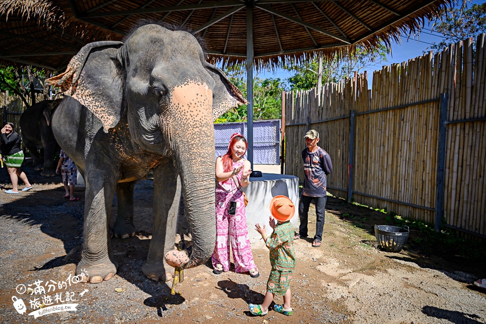 普吉島必玩【普吉島大象叢林保護區】來場與大象的溫柔相遇,幫大象洗澡戲水,餵大象吃香蕉.甘蔗和手作飯糰! 普吉島必玩【普吉島大象叢林保護區】來場與大象的溫柔相遇,幫大象洗澡戲水,餵大象吃香蕉.甘蔗和手作飯糰!