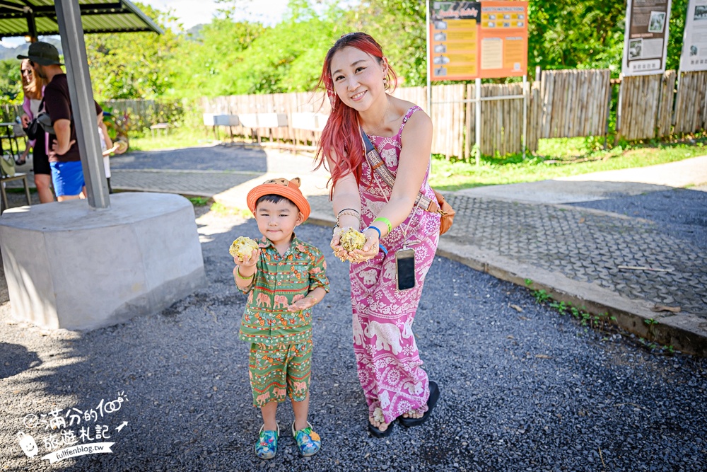 普吉島必玩【普吉島大象叢林保護區】來場與大象的溫柔相遇,幫大象洗澡戲水,餵大象吃香蕉.甘蔗和手作飯糰! 普吉島必玩【普吉島大象叢林保護區】來場與大象的溫柔相遇,幫大象洗澡戲水,餵大象吃香蕉.甘蔗和手作飯糰!