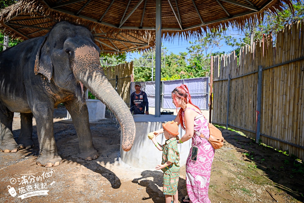 普吉島必玩【普吉島大象叢林保護區】來場與大象的溫柔相遇,幫大象洗澡戲水,餵大象吃香蕉.甘蔗和手作飯糰! 普吉島必玩【普吉島大象叢林保護區】來場與大象的溫柔相遇,幫大象洗澡戲水,餵大象吃香蕉.甘蔗和手作飯糰!