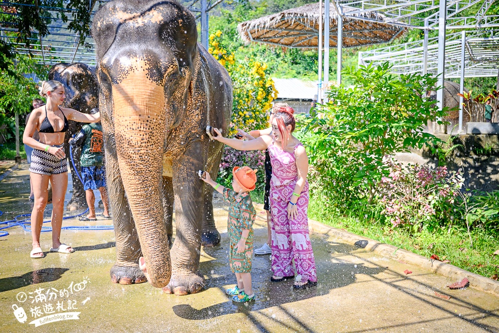 普吉島必玩【普吉島大象叢林保護區】來場與大象的溫柔相遇,幫大象洗澡戲水,餵大象吃香蕉.甘蔗和手作飯糰! 普吉島必玩【普吉島大象叢林保護區】來場與大象的溫柔相遇,幫大象洗澡戲水,餵大象吃香蕉.甘蔗和手作飯糰!