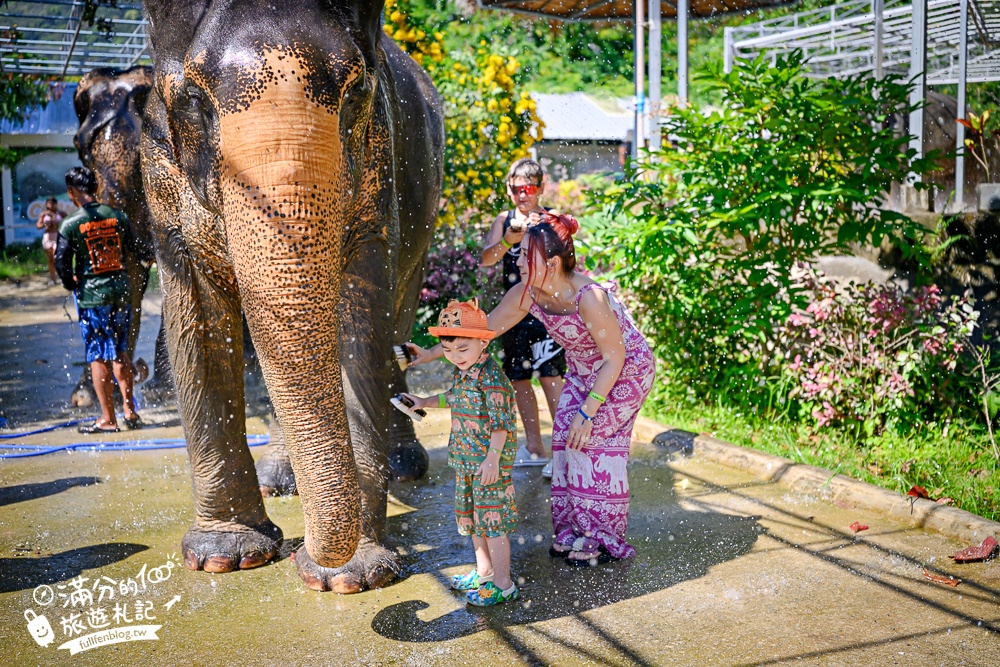 普吉島必玩【普吉島大象叢林保護區】來場與大象的溫柔相遇,幫大象洗澡戲水,餵大象吃香蕉.甘蔗和手作飯糰! 普吉島必玩【普吉島大象叢林保護區】來場與大象的溫柔相遇,幫大象洗澡戲水,餵大象吃香蕉.甘蔗和手作飯糰!