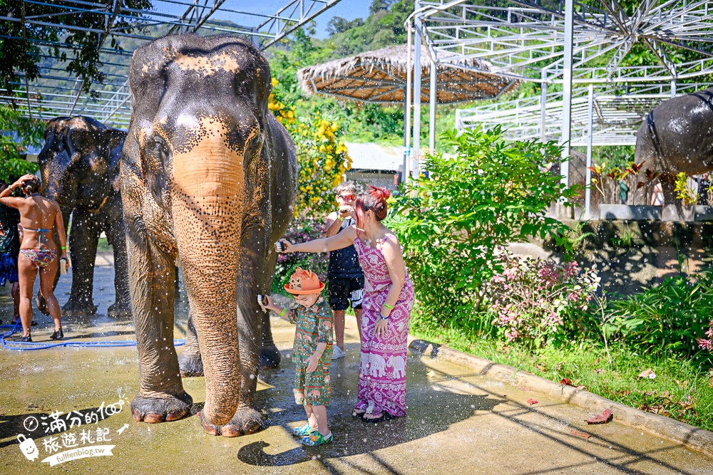 普吉島必玩【普吉島大象叢林保護區】來場與大象的溫柔相遇,幫大象洗澡戲水,餵大象吃香蕉.甘蔗和手作飯糰! 普吉島必玩【普吉島大象叢林保護區】來場與大象的溫柔相遇,幫大象洗澡戲水,餵大象吃香蕉.甘蔗和手作飯糰!