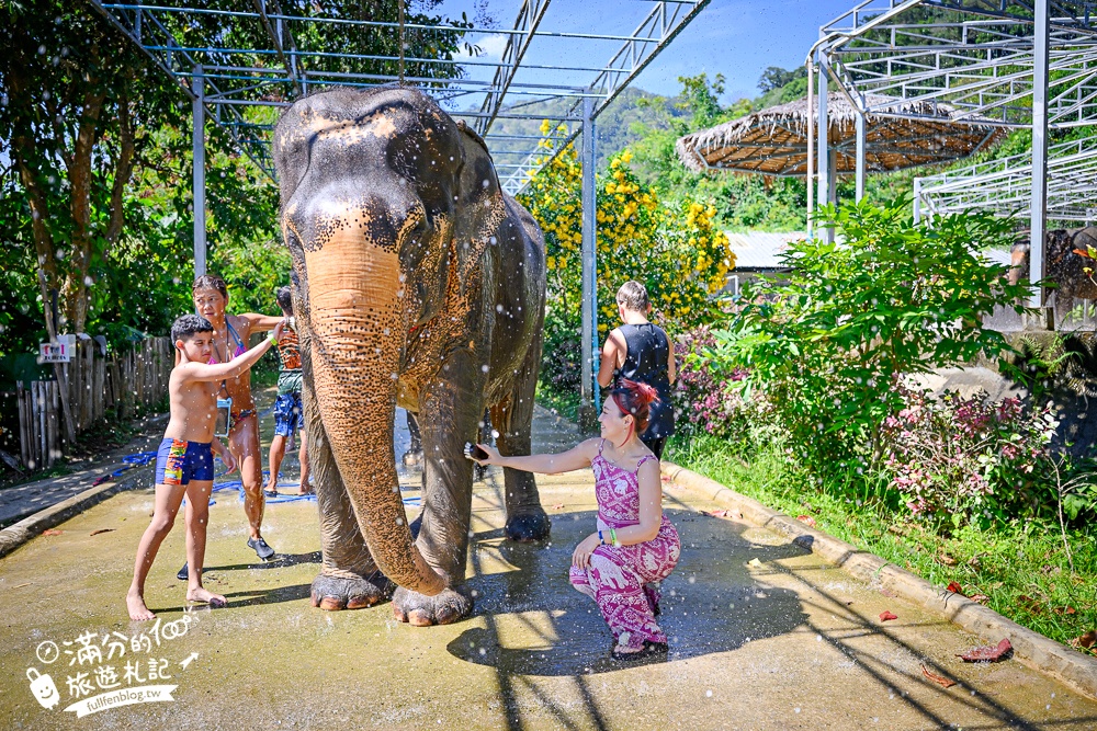 普吉島必玩【普吉島大象叢林保護區】來場與大象的溫柔相遇,幫大象洗澡戲水,餵大象吃香蕉.甘蔗和手作飯糰! 普吉島必玩【普吉島大象叢林保護區】來場與大象的溫柔相遇,幫大象洗澡戲水,餵大象吃香蕉.甘蔗和手作飯糰!