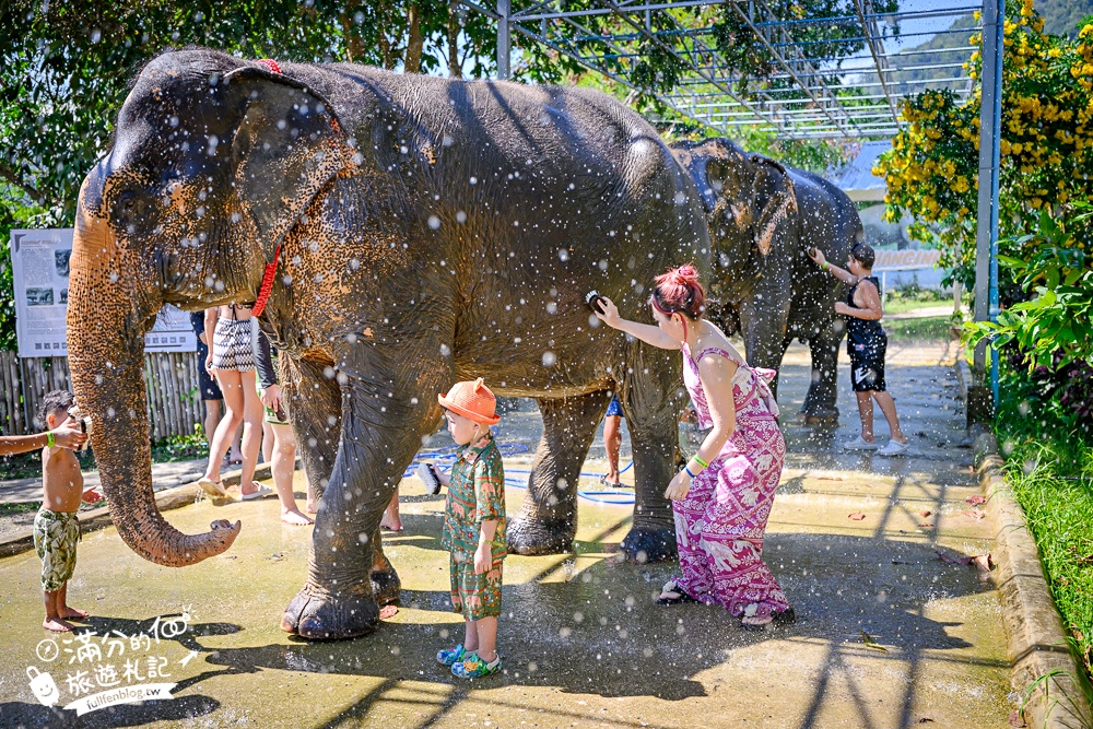 普吉島必玩【普吉島大象叢林保護區】來場與大象的溫柔相遇,幫大象洗澡戲水,餵大象吃香蕉.甘蔗和手作飯糰! 普吉島必玩【普吉島大象叢林保護區】來場與大象的溫柔相遇,幫大象洗澡戲水,餵大象吃香蕉.甘蔗和手作飯糰!