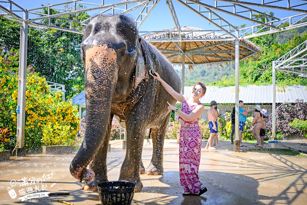 普吉島必玩【普吉島大象叢林保護區】來場與大象的溫柔相遇,幫大象洗澡戲水,餵大象吃香蕉.甘蔗和手作飯糰! 普吉島必玩【普吉島大象叢林保護區】來場與大象的溫柔相遇,幫大象洗澡戲水,餵大象吃香蕉.甘蔗和手作飯糰!