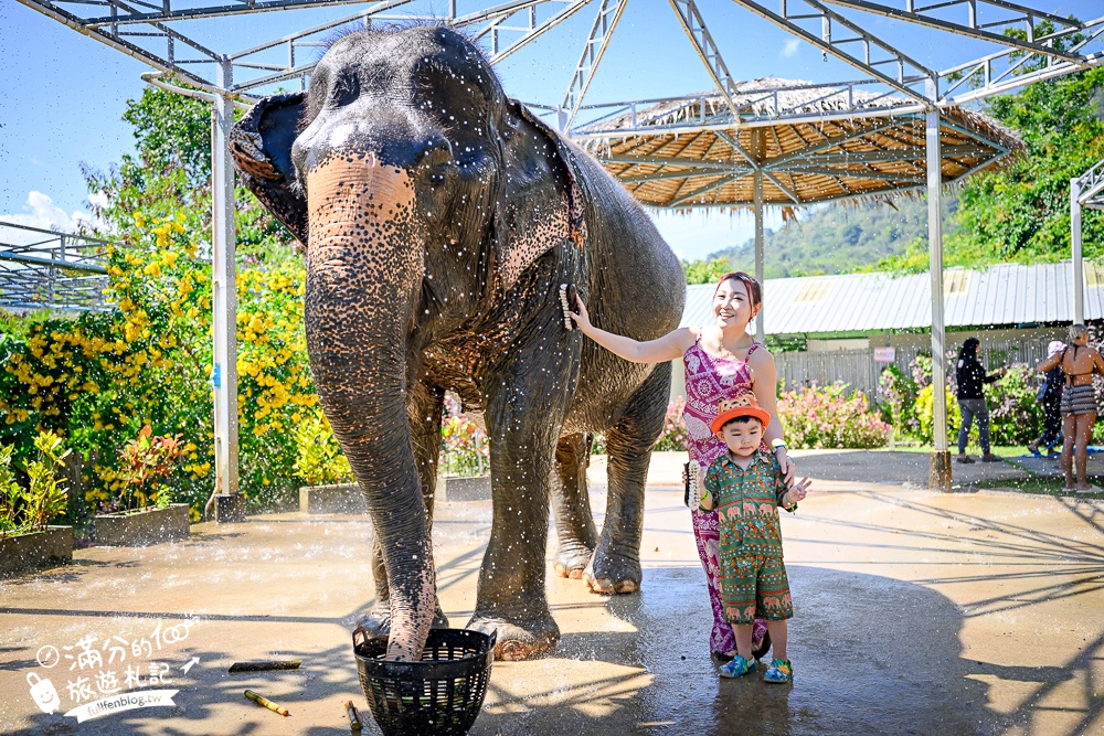 普吉島必玩【普吉島大象叢林保護區】來場與大象的溫柔相遇,幫大象洗澡戲水,餵大象吃香蕉.甘蔗和手作飯糰! 普吉島必玩【普吉島大象叢林保護區】來場與大象的溫柔相遇,幫大象洗澡戲水,餵大象吃香蕉.甘蔗和手作飯糰!