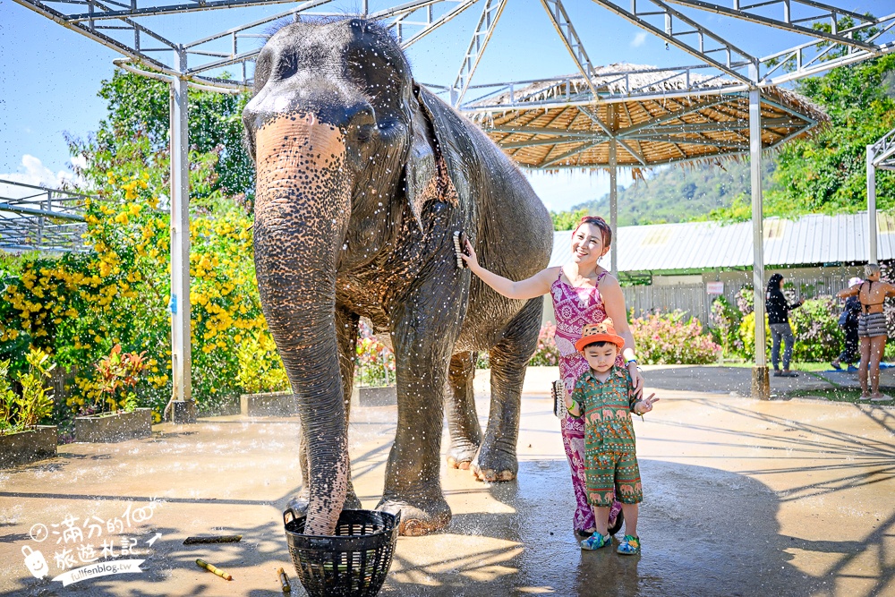 普吉島必玩【普吉島大象叢林保護區】來場與大象的溫柔相遇,幫大象洗澡戲水,餵大象吃香蕉.甘蔗和手作飯糰! 普吉島必玩【普吉島大象叢林保護區】來場與大象的溫柔相遇,幫大象洗澡戲水,餵大象吃香蕉.甘蔗和手作飯糰!